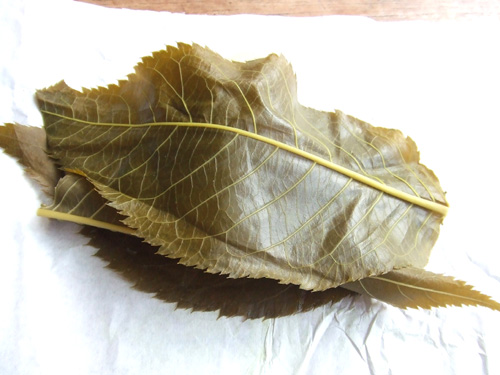 0127achomaiji2.jpg