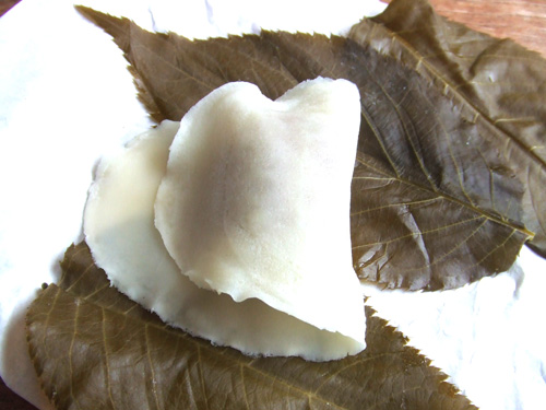 0127achomeiji3.jpg