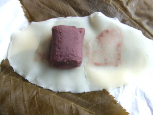 0127achomeiji4.jpg