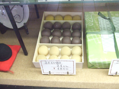 0127akototoi5.jpg