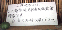 0820yabe4.gif