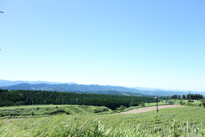 0831yosimuta2.jpg