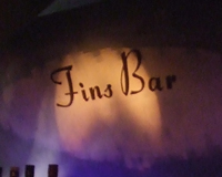 141229fins3jpg.jpg