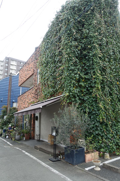 DSC09788.jpg