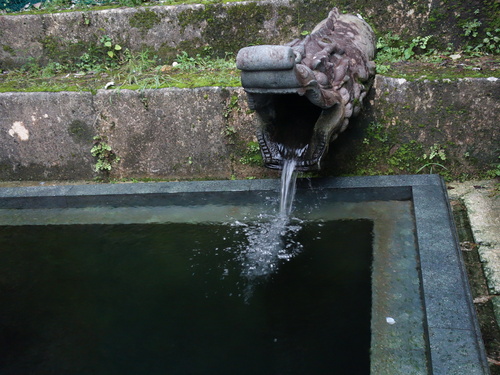 DSC01610.JPG