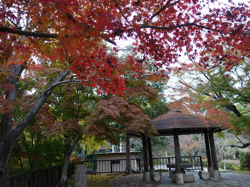 DSC02024.JPG