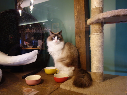 DSC02231.JPG