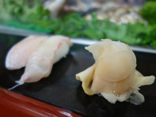 DSC02490.JPG