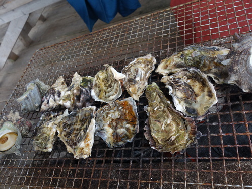 DSC02499.JPG