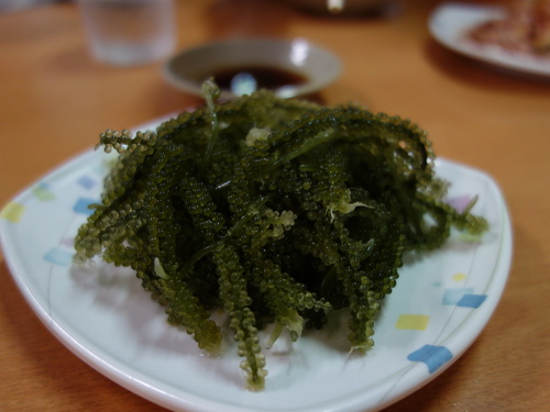 DSC02601.JPG