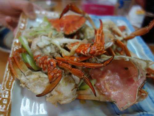 DSC02607.JPGのサムネール画像のサムネール画像