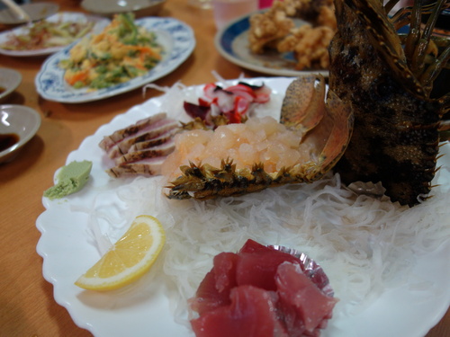 DSC02609.JPGのサムネール画像