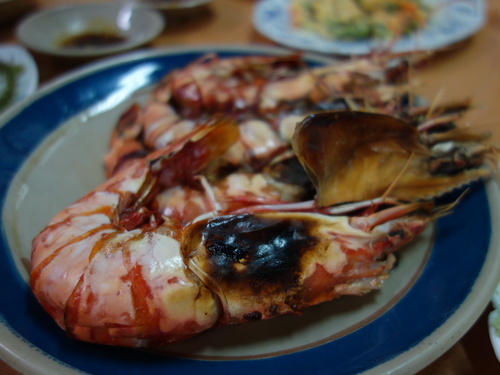 DSC02611.JPGのサムネール画像