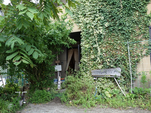 FDSC03577.JPG