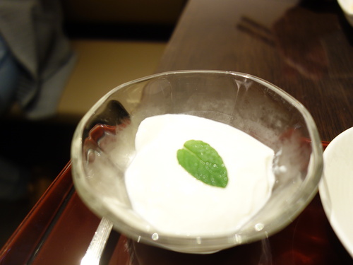 DSC06133.JPG