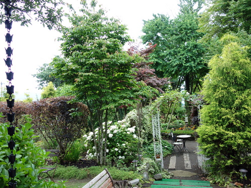 DSC06853.JPG
