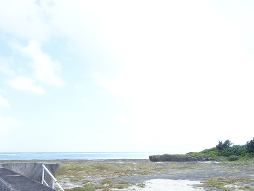 DSC06994.JPG