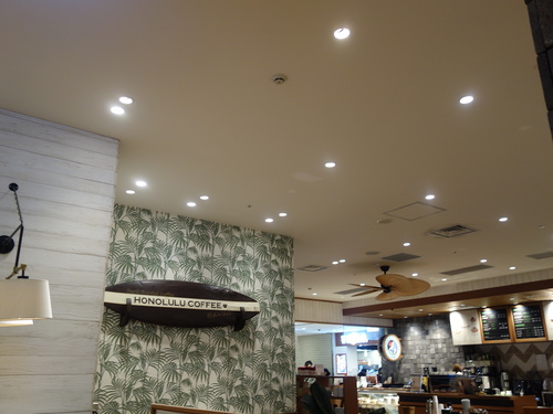 DSC07866.JPG
