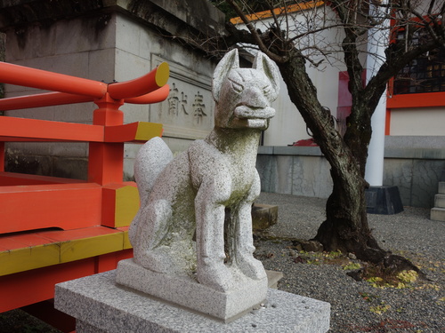 DSC07995.JPG