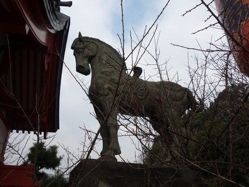 DSC07998.JPG