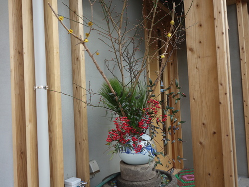 DSC08101.JPG