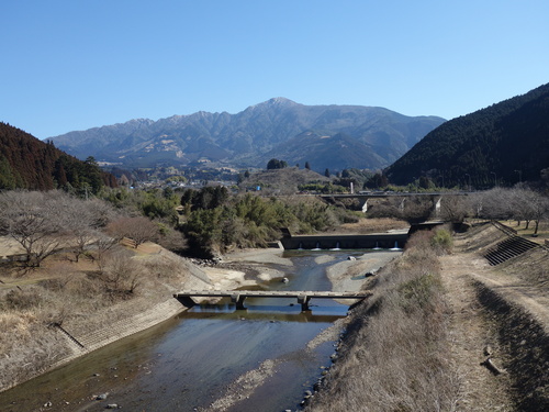 DSC08260.JPG