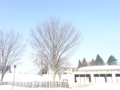 DSC08749.JPG