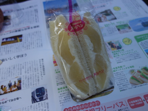 DSC08752.JPG