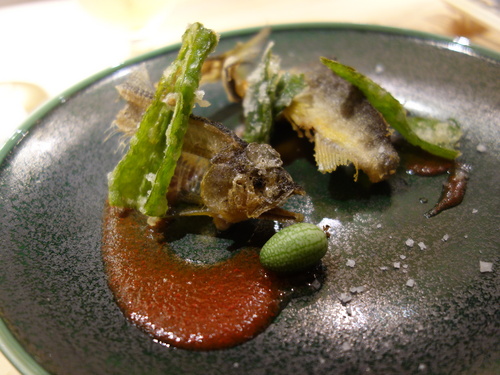 DSC00797.JPG