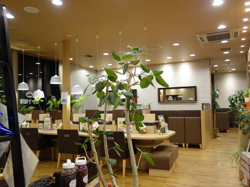 DSC00890.JPG