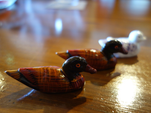 DSC09847.JPG