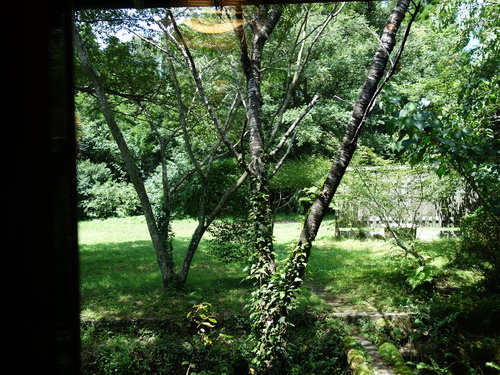 DSC01148.JPG