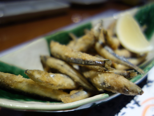 DSC02168.JPG