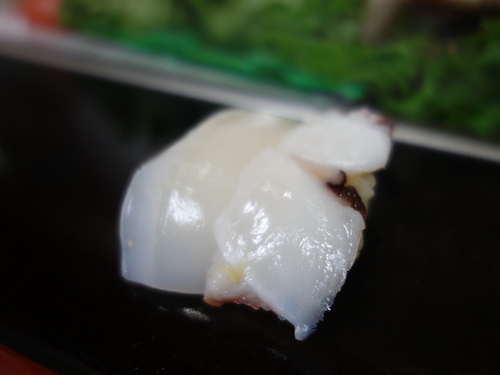 DSC02492.JPG