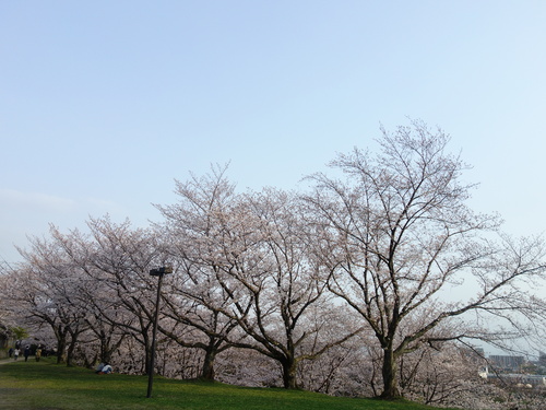 DSC02942.JPG