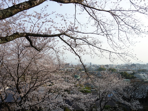 DSC02944.JPG