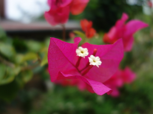 DSC03415.JPG