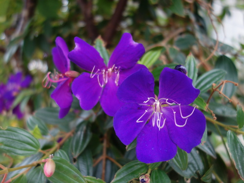 DSC03416.JPG