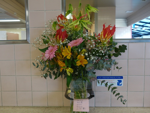 DSC05113.JPG