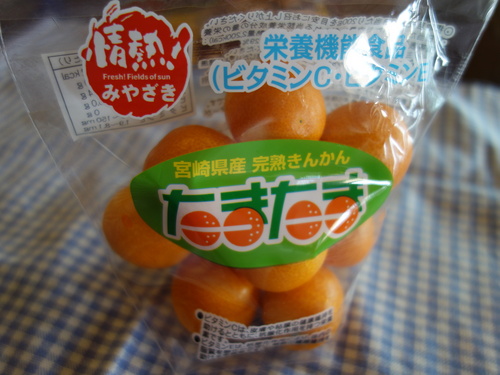 DSC05774.JPG
