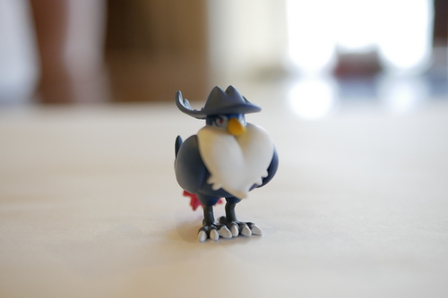 _1020398.JPG