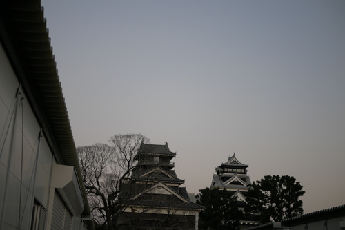 _1030406.JPG