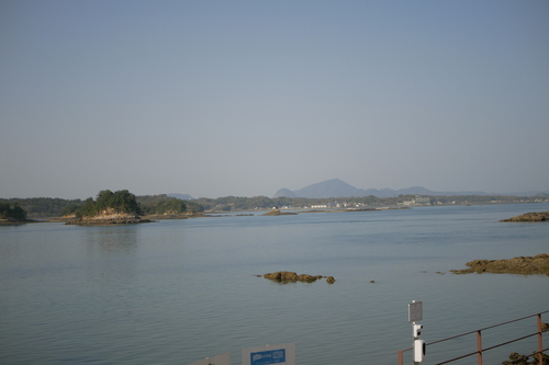 _1040475.JPG
