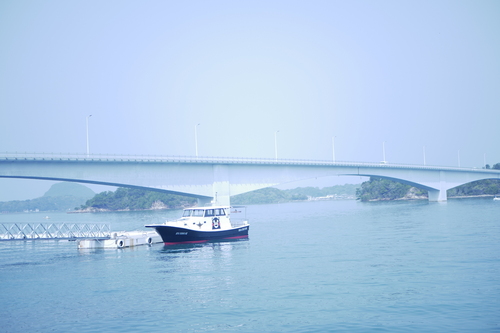 _1040720.JPG