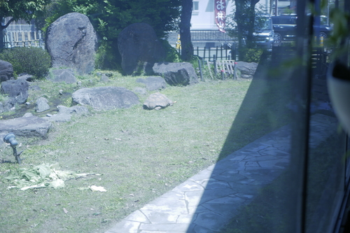 _1040979.JPG