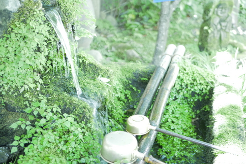 _1060475.JPG