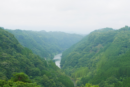 P1110819.JPG