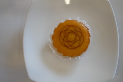 P1130731.JPG