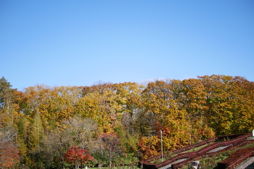 _1140046.JPG