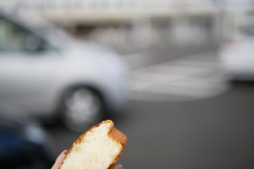 _1140136.JPG